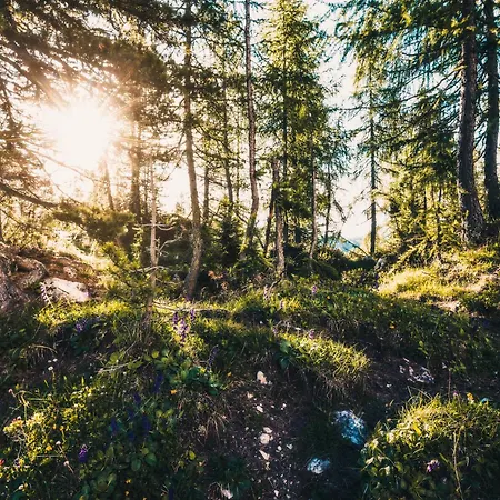 Steff & Stoff 아파트 피센도르프