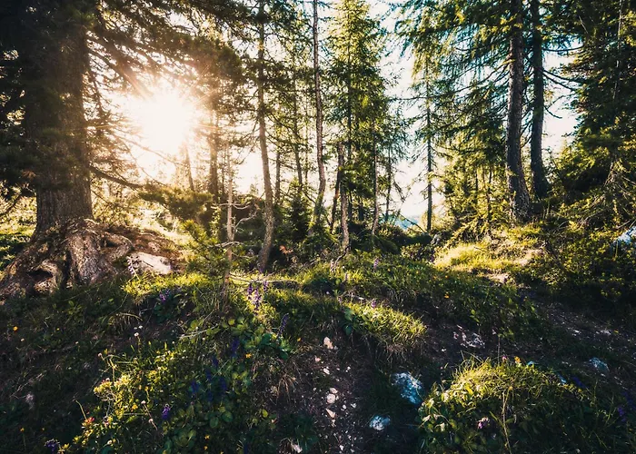 Steff & Stoff Apartman Piesendorf